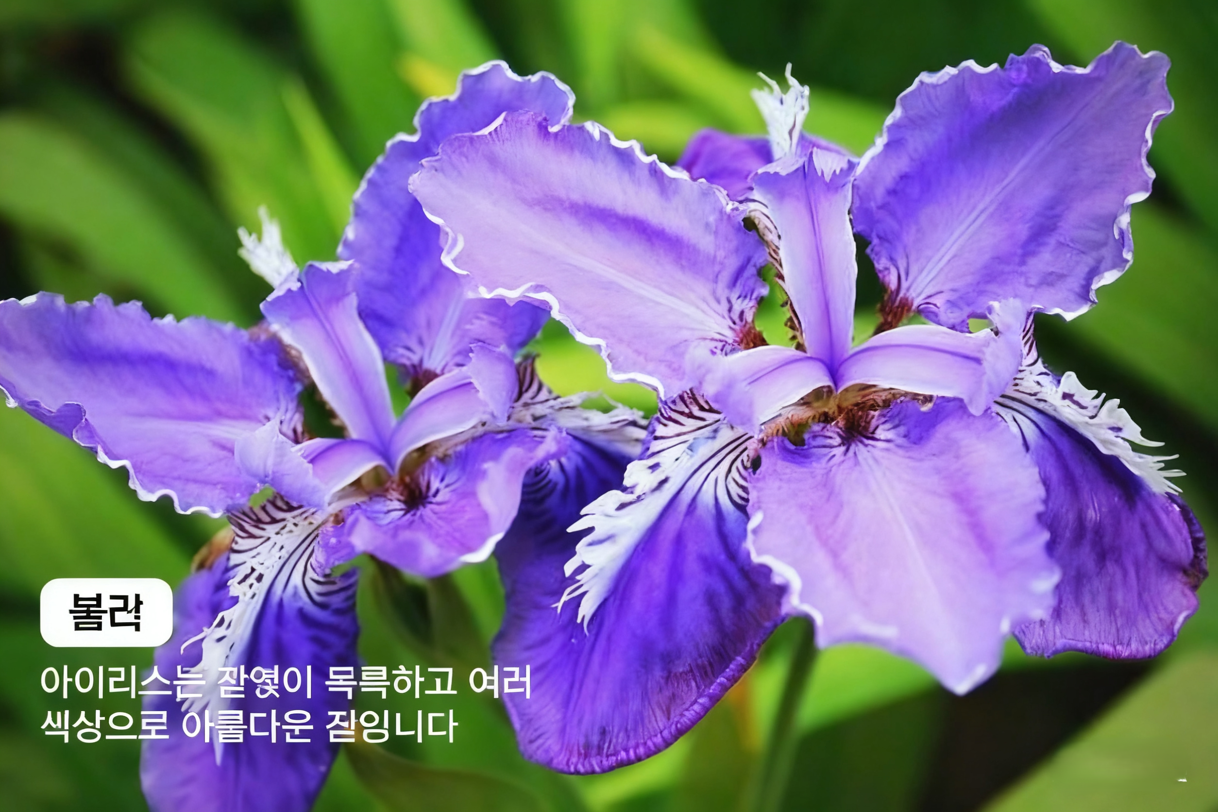 지식 주석-AI 생성 이미지